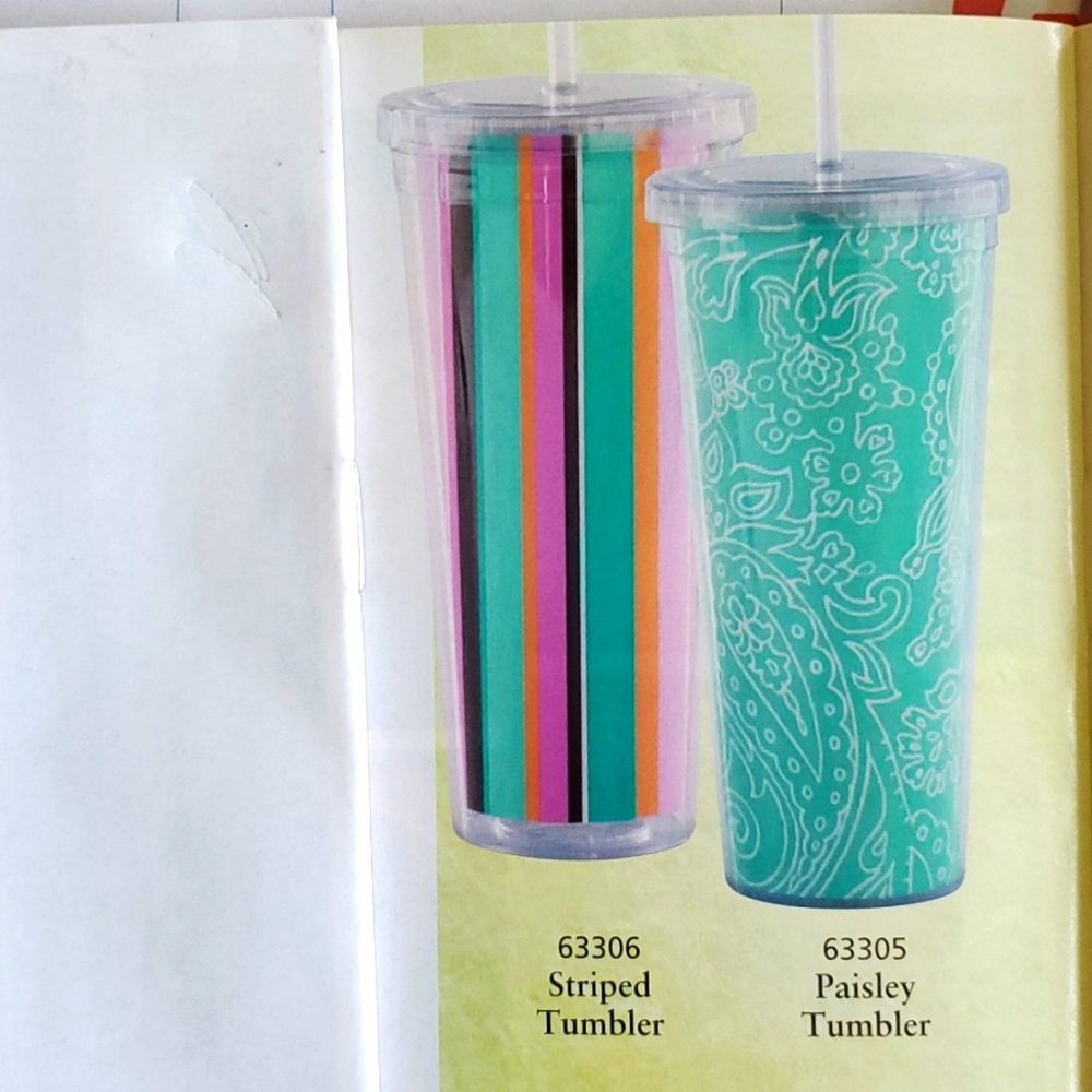 24 oz insulated Tumbler, leak proof lid Paisley or Stripes